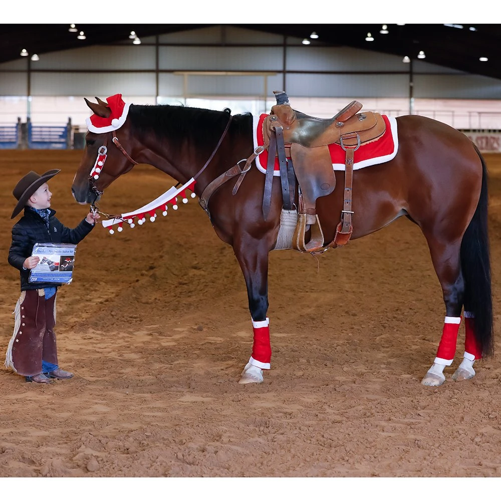 Tough-1 Tough 1 Santa 5 Piece Set