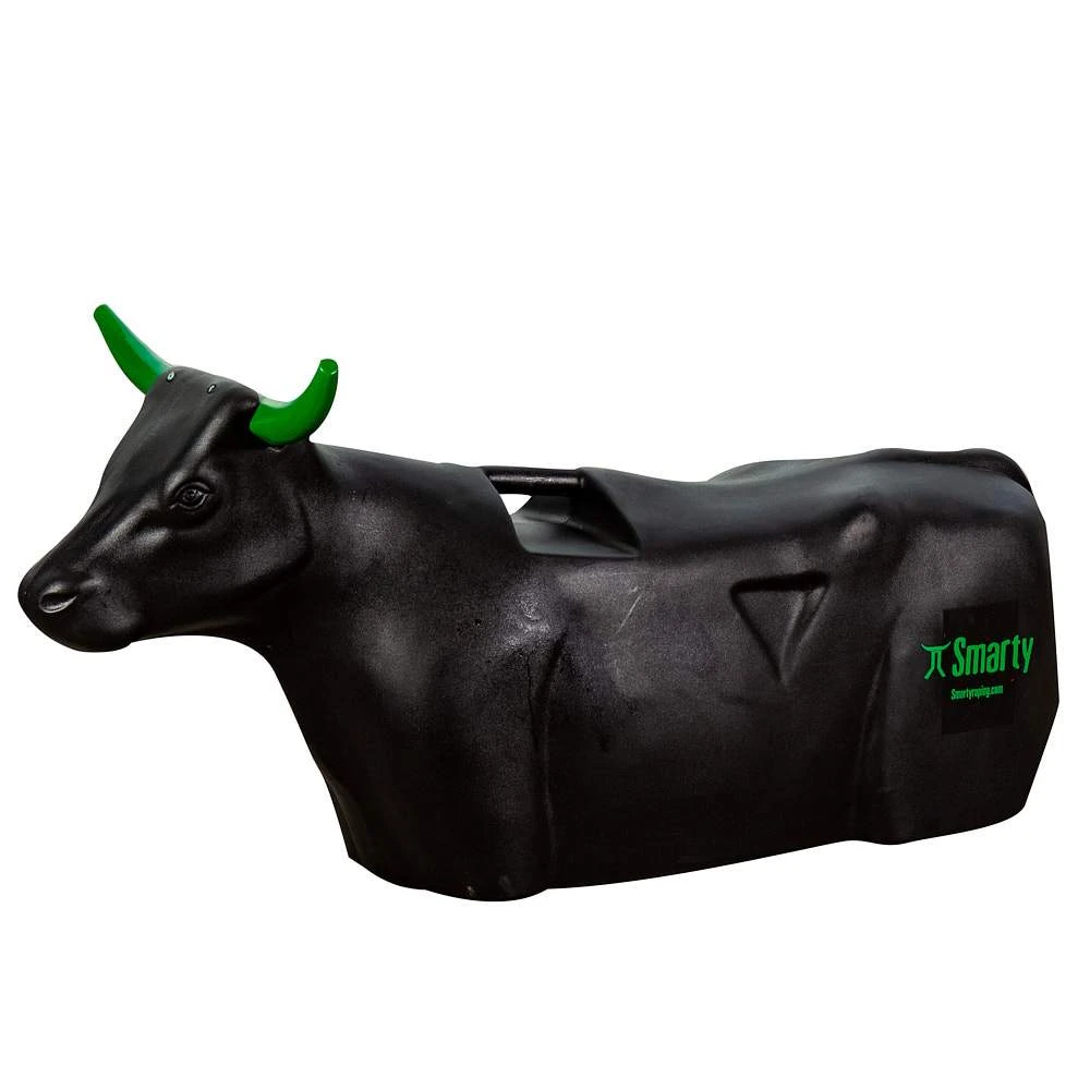 Smarty Full Body Sidekick