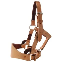 Saddle Barn Tack Leather Bronc Halter