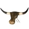 NRS Deluxe Rawhide Steerhead -NRS World Sales 434 default l