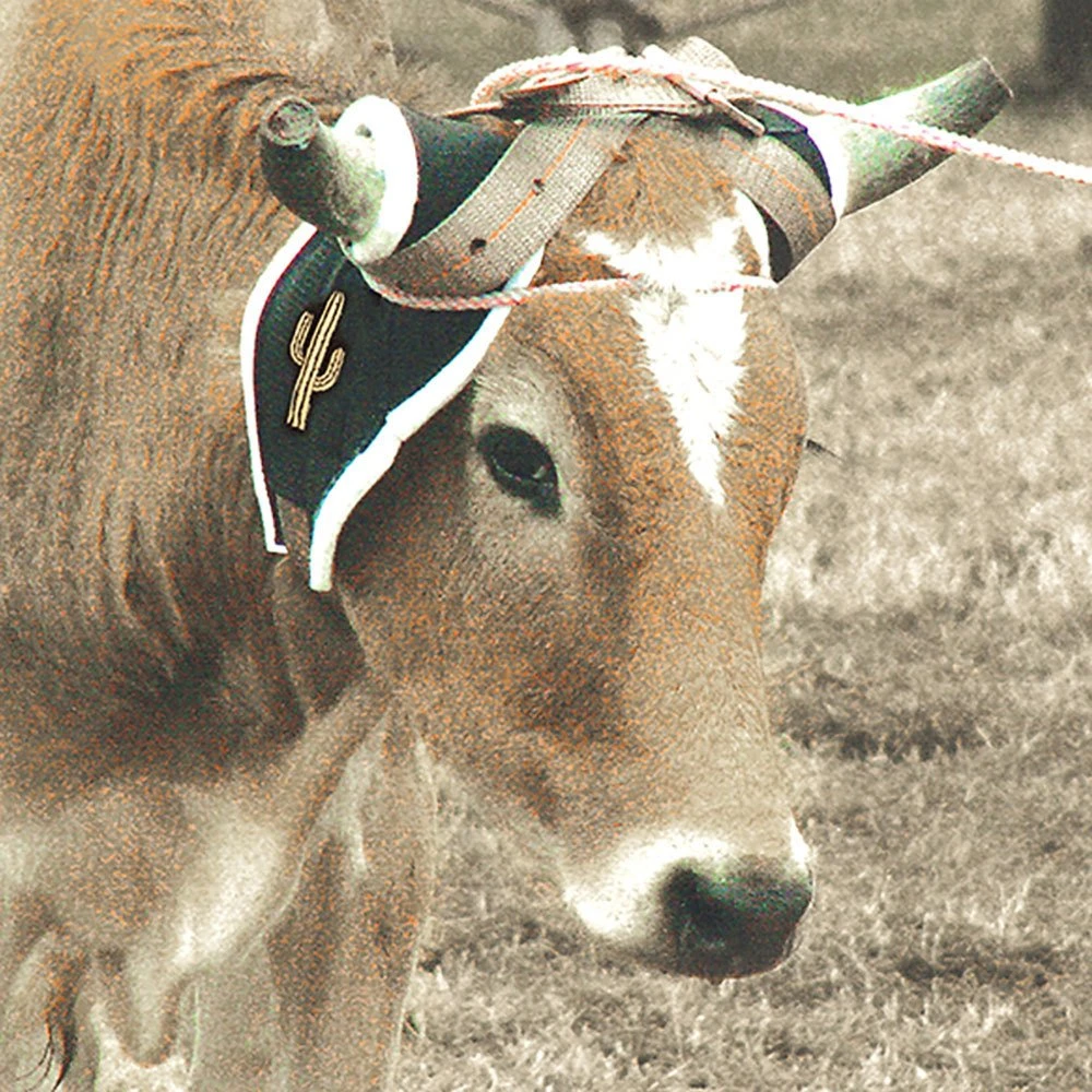 Cactus Gear Ropes Deluxe Horn Wrap