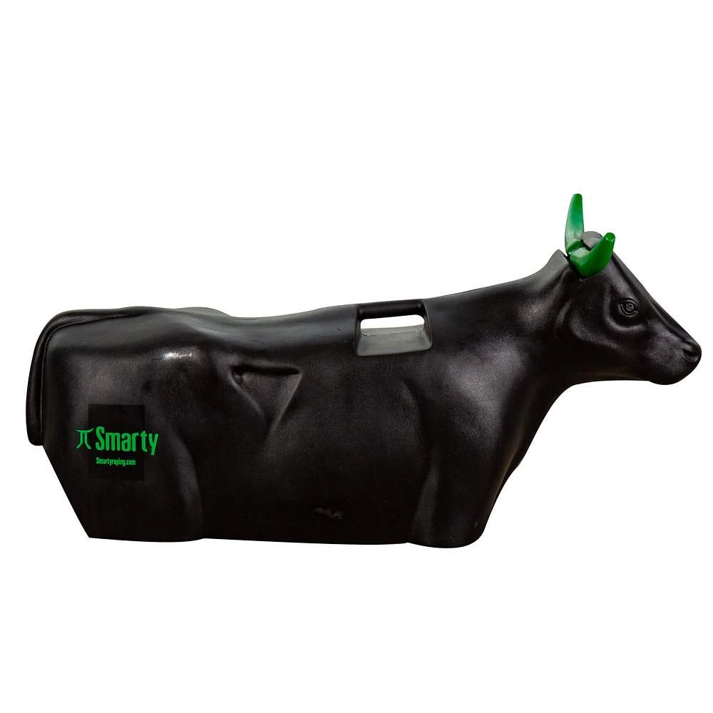 Smarty Full Body Sidekick - Image 2