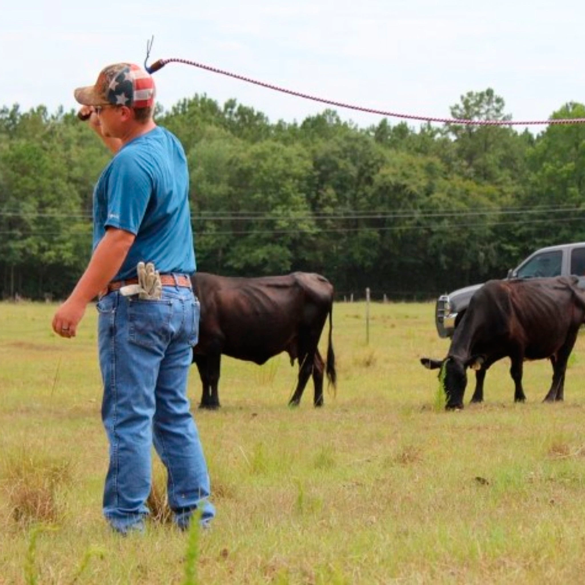 Double C Customs Llc Custom 8 Foot Paracord Bull Cow Whip - Image 4