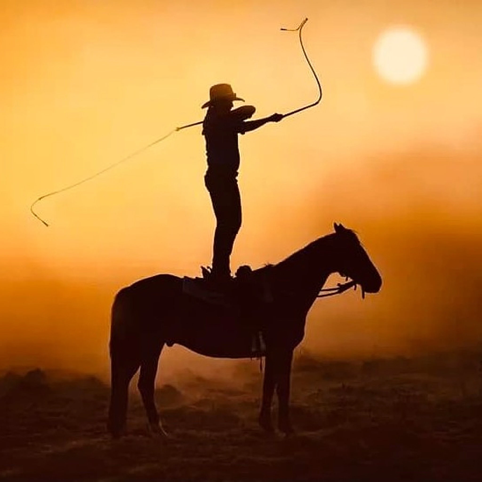 Double C Customs Llc Custom 8 Foot Paracord Bull Cow Whip - Image 5