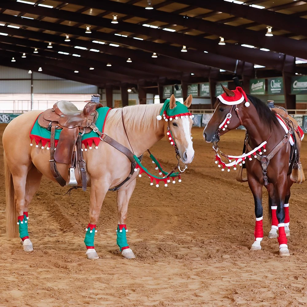 Tough-1 Tough 1 Santa 5 Piece Set - Image 2